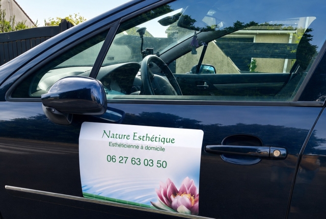 Nature esthétique