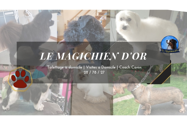 Le Magichien d'Or