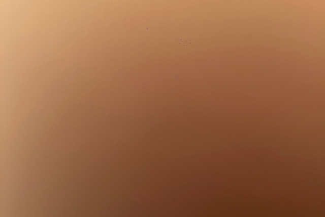 Esthétique Dream